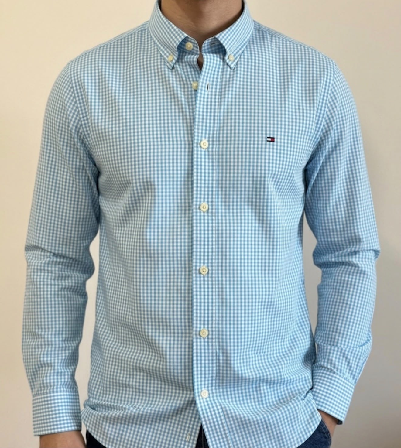 Camisa Manga Longa Tommy Hilfiger Micro XadrezAzul Claro