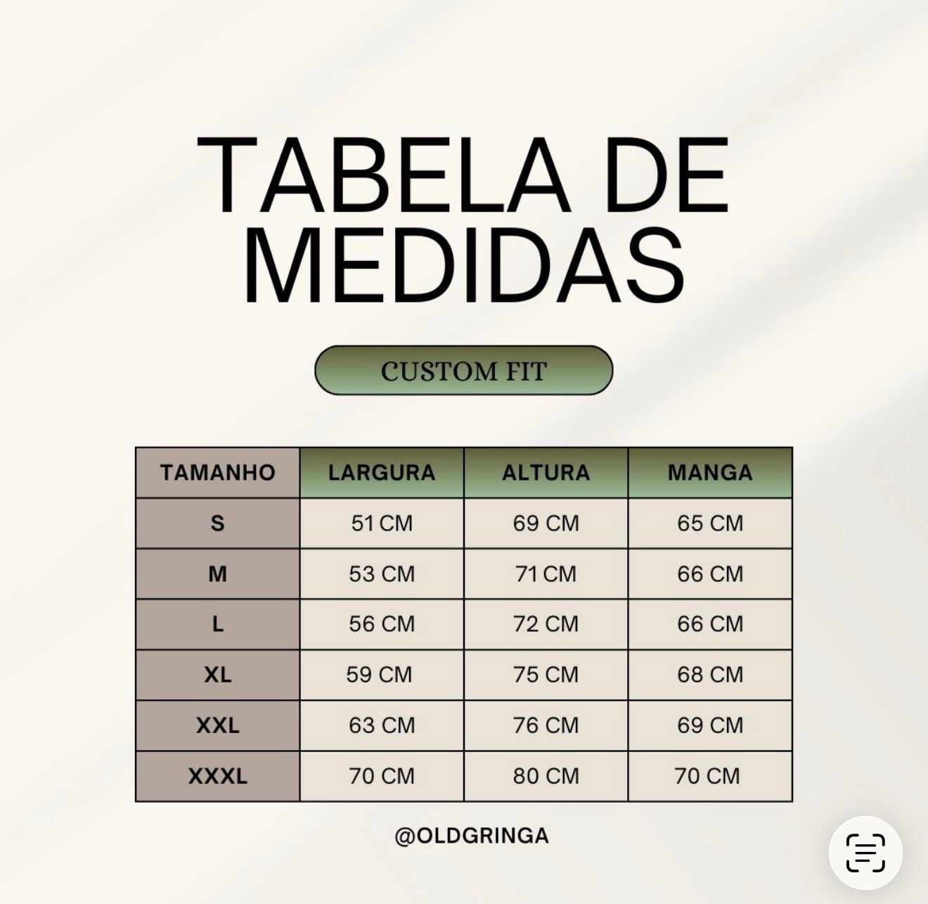 Camisa Manga Longa Americana Verde e Azul Polo Ralph Lauren